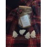 Candy Cane Mini Wax Melts