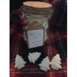 Spiced Orange Mini Wax Melts
