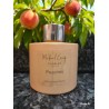 Peaches 100ml Diffuser